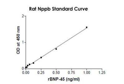 ELISA: Rat BNP-45 ELISA Kit (Colorimetric) [KA0979]